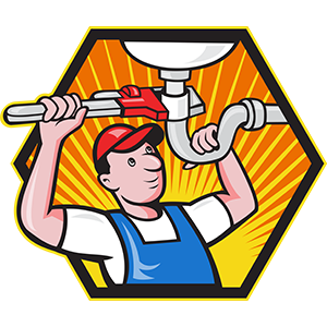 Live, Working Example Websites for Plumbers